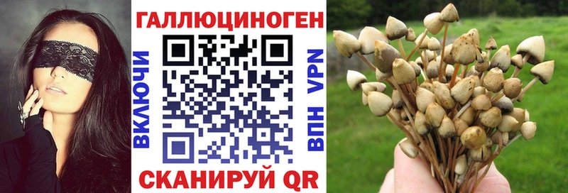 Псилоцибиновые грибы MAGIC MUSHROOMS  Кирс 